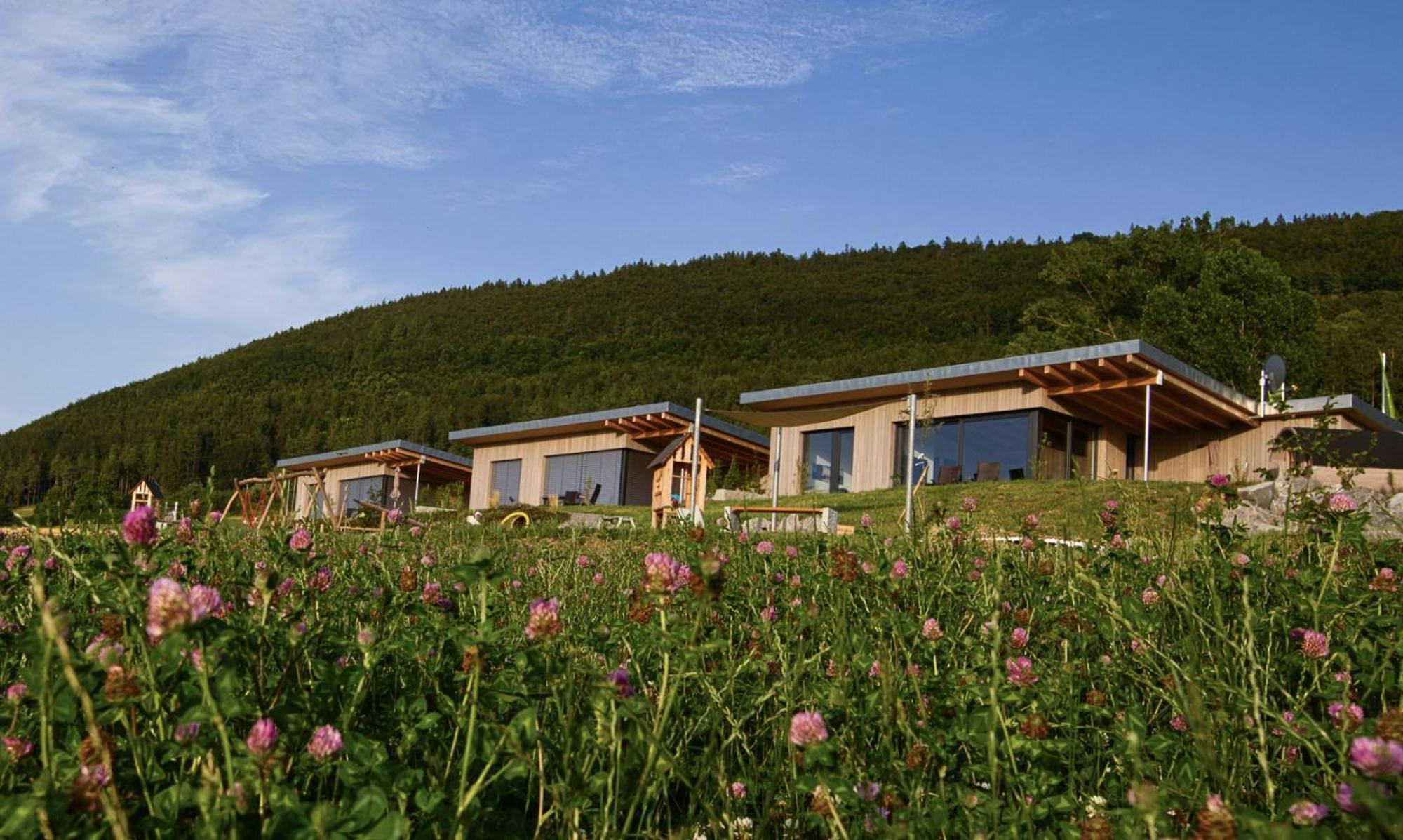 An Webers Stoag Villa Geisingen Exterior photo